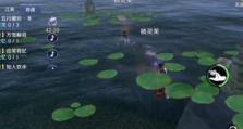 天涯明月刀手游沐风雨奇遇流程全攻略（亲身体验，揭秘任务流程，让你迅速完成）