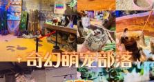 《萌宠部落游戏攻略大揭秘》（尽享乐趣，成为部落王者的必备指南）