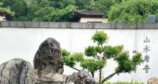 剑网3华清宫攻略指南（探秘华清宫，解锁剑网3的神秘之地）