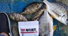 庄河电厂钓鲷攻略（体验丰富，技巧全解析）