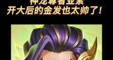 六神龙尊者出装攻略（充能速度+暴击伤害，）