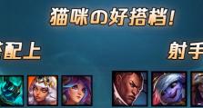 猫咪天赋符文出装攻略（打造最强战斗猫咪！）