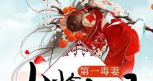 妖孽七夫君攻略大全（揭秘妖孽七夫君的独家攻略，让你成为他心底最特殊的存在！）
