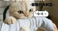 《猫咪公寓2》游戏中的约克谈心详解（揭秘约克谈心玩法、技巧、攻略）