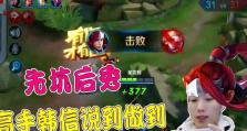 如何选择适合队友韩信的极限守家出装攻略？（团战保护核心输出，）
