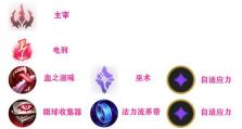 卡萨中单符文天赋出装攻略（掌握合适的符文天赋和装备，打造无敌的卡萨战队）