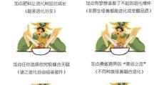 超进化物语游戏攻略指南（揭秘超进化世界的奇幻冒险之旅）