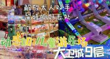 闺蜜城堡2游戏攻略（打造梦幻城堡、解锁新功能、互动社交，感受无尽乐趣）